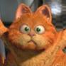 ...:::Garfield:::...