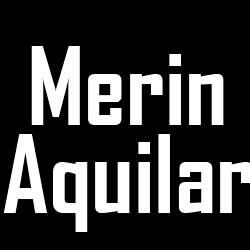 Merino Aquilar
